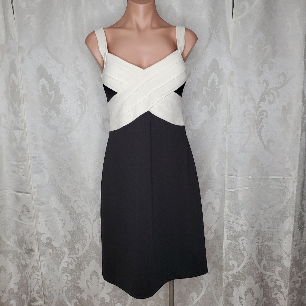 MORGAN MCFEETERS Fitted Color Block Dress